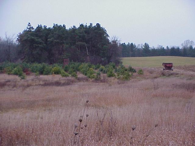 View to the south from the confluence.