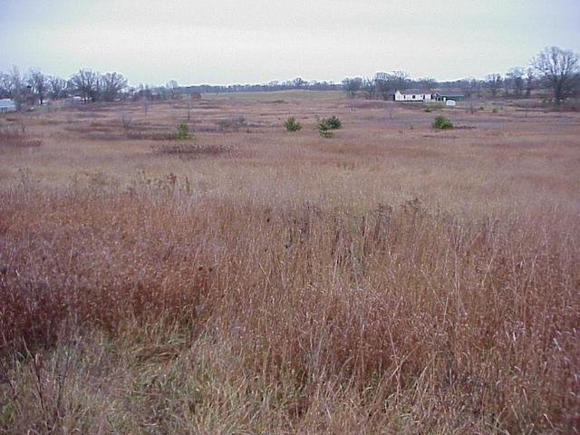 View to the east from the confluence.