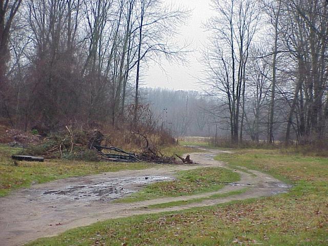 Starting point for confluence trek from the campground.