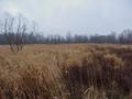 #7: View to the south from the confluence.