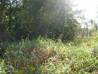 #3: View to the east