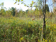 #4: View to the south