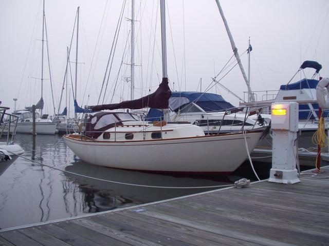 Our ship, the Sailing Vessel Alliance, at the dock before our departure