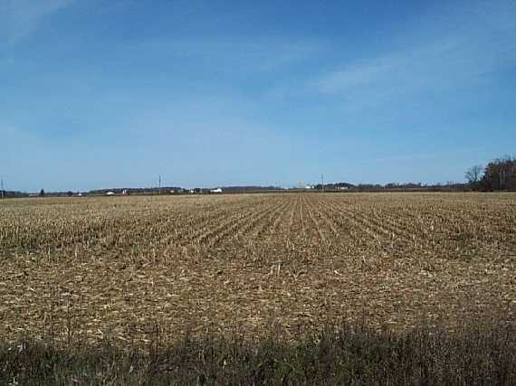 View looking north from the confluence