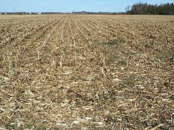 Yet Another Confluence in a Cornfield