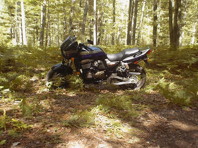 My Kawasaki ZRX1200R, at the end of Townline Rd.