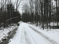 #6: View to the east from 84 West, due south of the confluence.