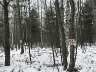 #9: Keep out signs on the north side of the east-west road.