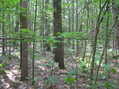 #3: View East