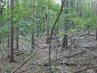 #3: View to the east