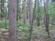 #5: View to the west