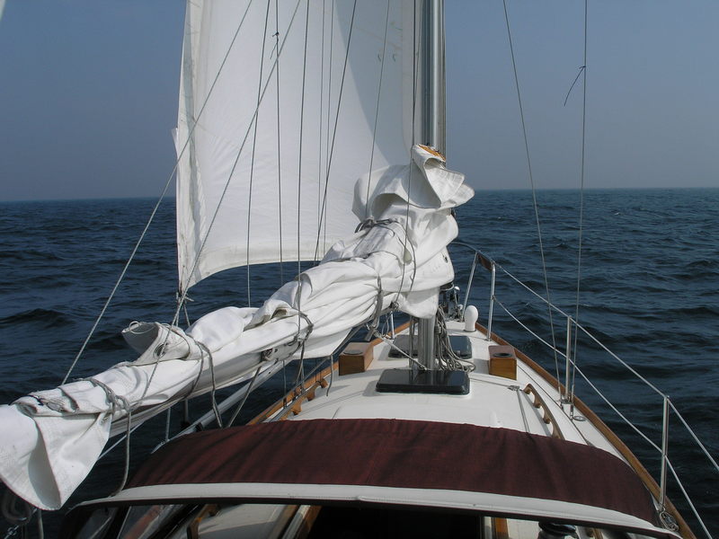 North View from the cockpit with Alliance in the foreground