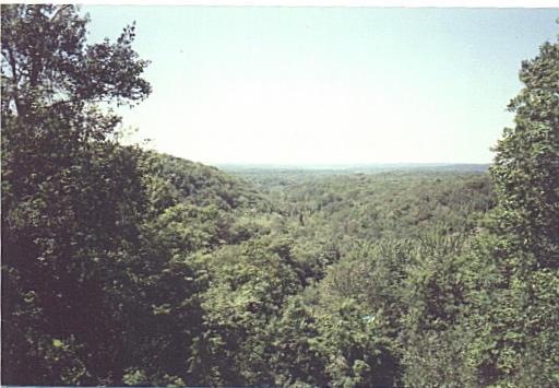 A view out at 45N85W from Landslide Lookout