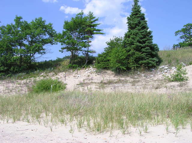 Looking up from the shoreline towards highway 2