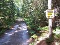 #10: The "road" leading to the cottage.