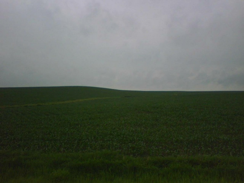 Looking south to the CP in the corn