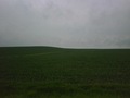 #3: Looking south to the CP in the corn