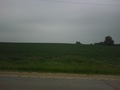 #4: Looking north into another corn field across the road