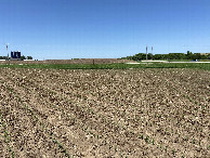 #2: View to the north from the confluence point.