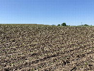 #5: The view to the west from the confluence point.