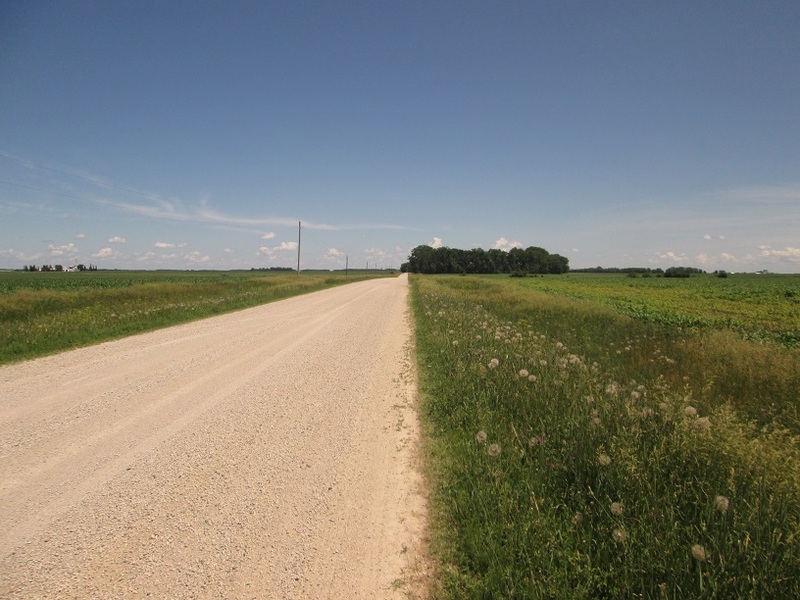 East view.