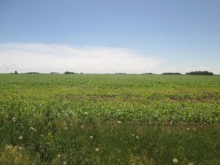 #1: South view, the confluence is about 120 m that way.