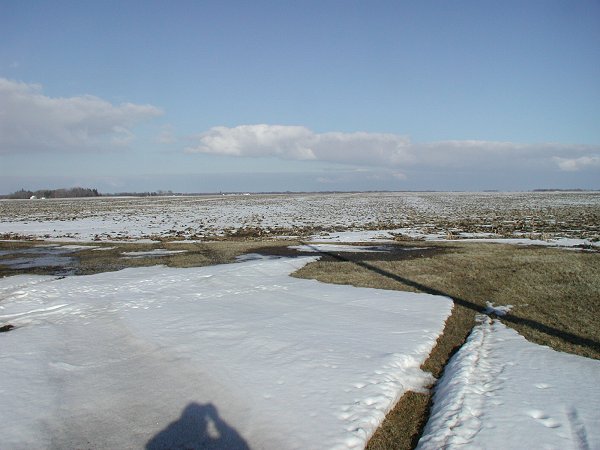 Area of the confluence