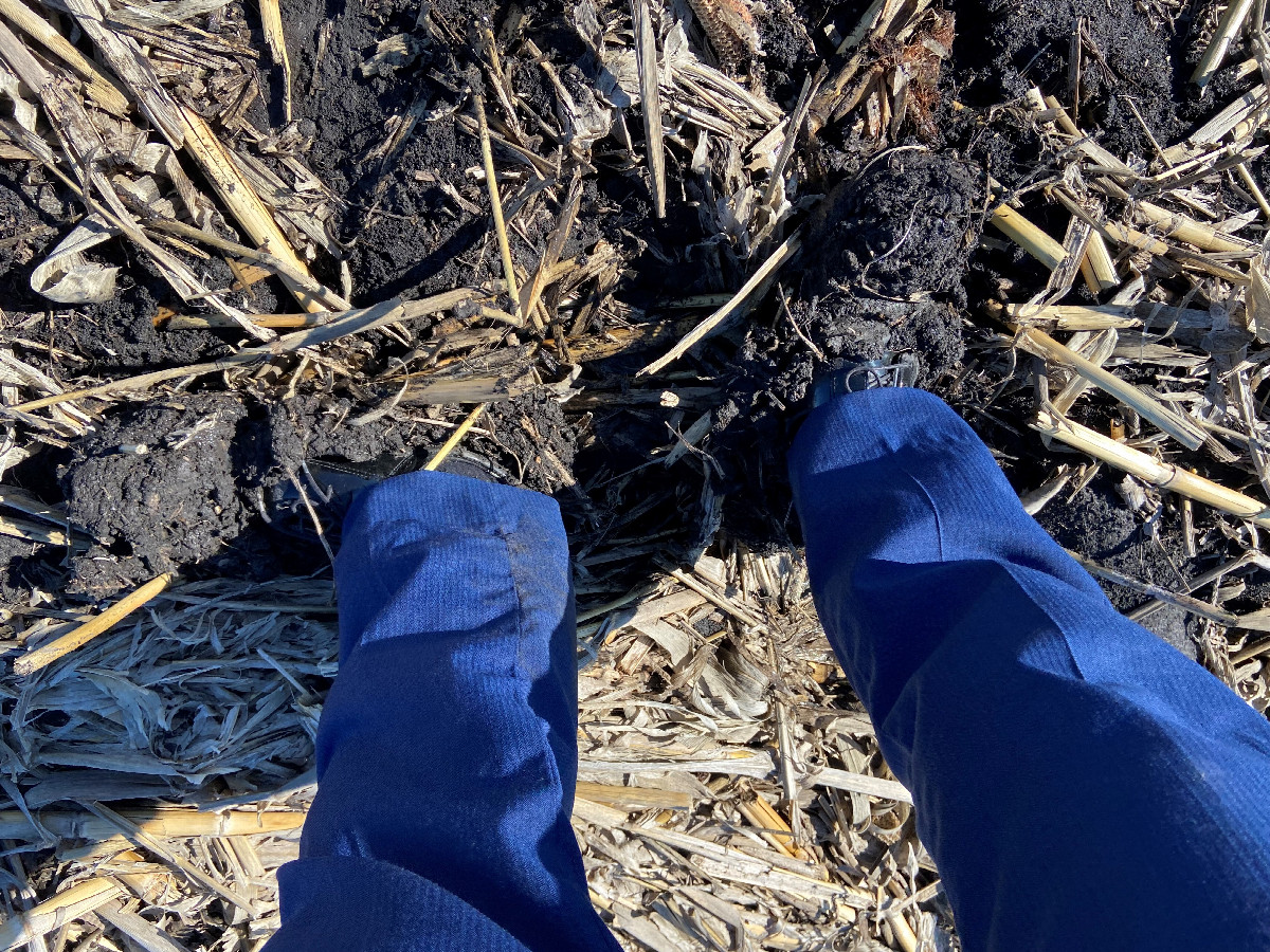Ground cover at the confluence point, and muddy shoes, somewhere underneath the surface.