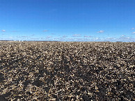 #3: View to the east from the confluence point.