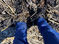 #6: Ground cover at the confluence point, and muddy shoes, somewhere underneath the surface.