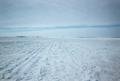 #4: Looking South