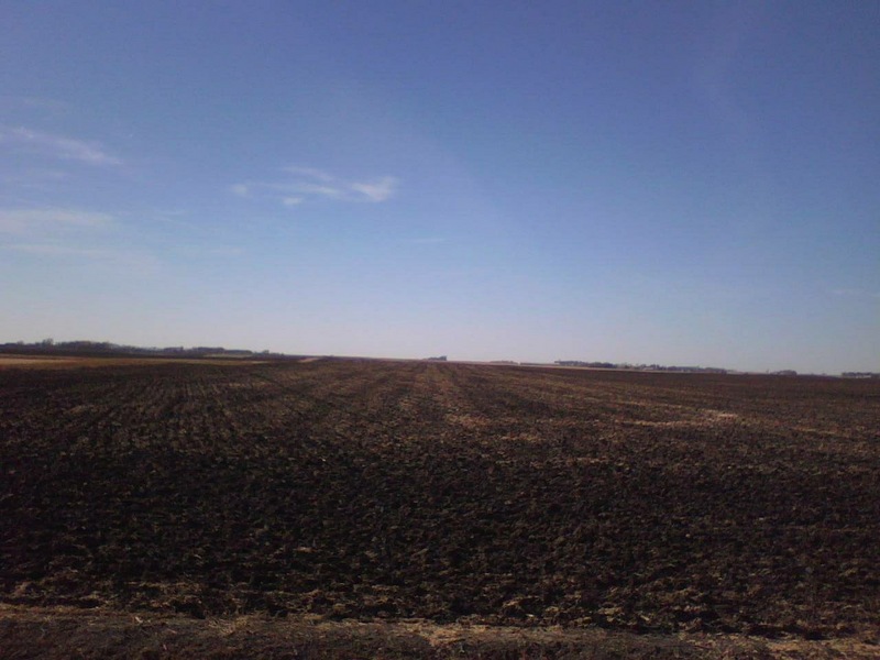 Looking west toward the Confluence from 45m