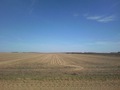 #4: Looking east at a harvested soybean field