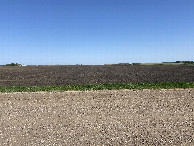 #9: A better view to the east from the confluence vicinity, from the road east of the point.