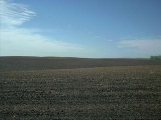 #1: View of confluence from fenceline