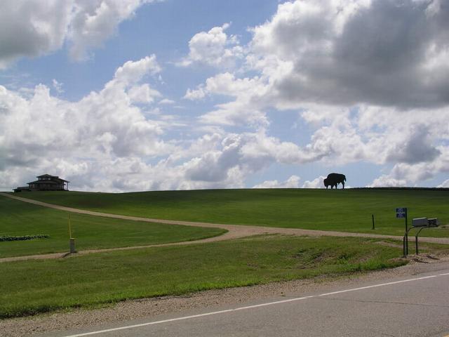 Nearby Buffalo Ridge - with a fake buffalo on the ridge