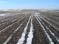 #6: View to the east from the confluence.