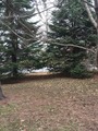 #4: Looking West