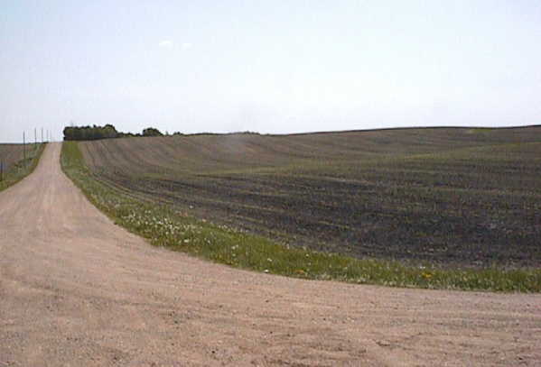 Confluence near Winstead, MN (45N, 94W)