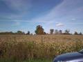 #2: Looking north at a corn field