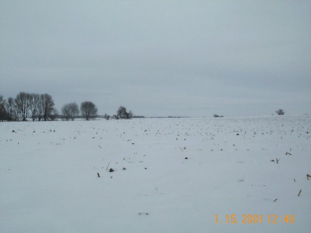 View to the north.