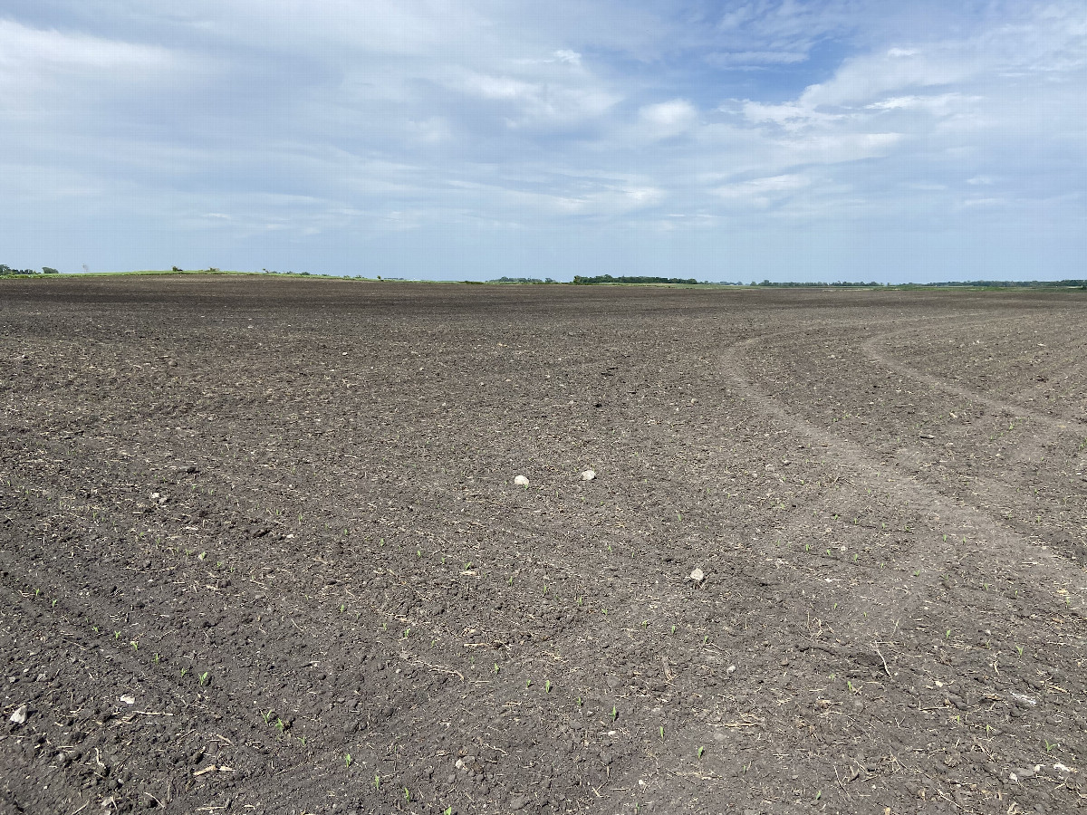 The site of the confluence, in the foreground, looking northeast.