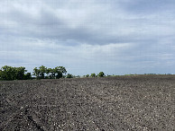 #2: The view to the north from the confluence point.