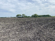 #4: The view to the south from the confluence point.