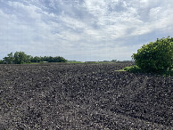 #5: The view to the west southwest from the confluence point. out of respect for the land owner I did not photograph due West because the house is there.