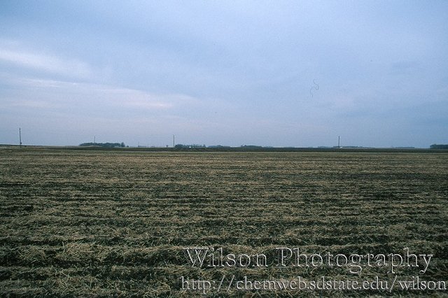 Looking North from the confluence.