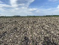 #2: The view to the north from the confluence point.