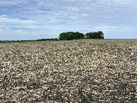 #3: The view to the east from the confluence point.