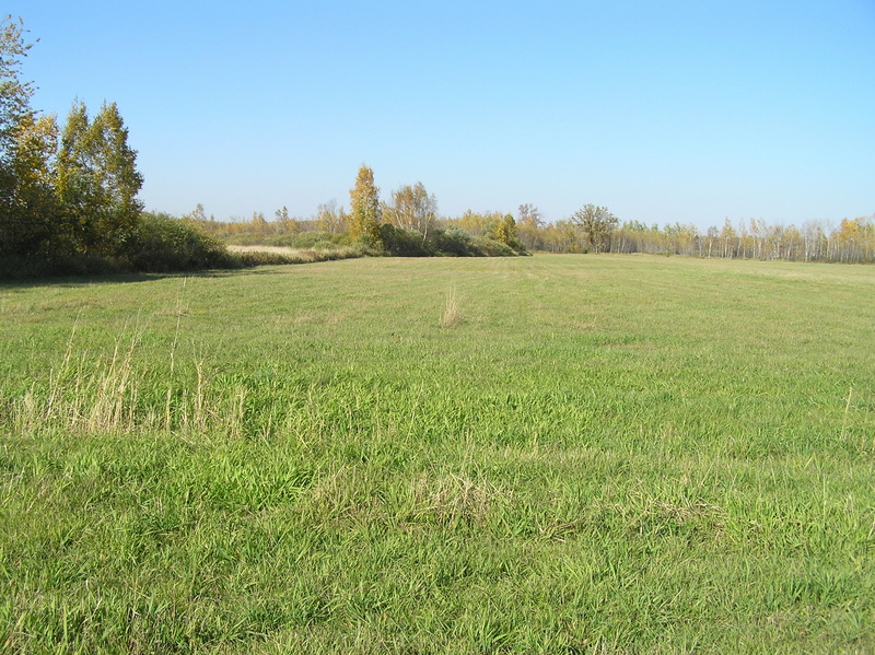 View to the north from the confluence.