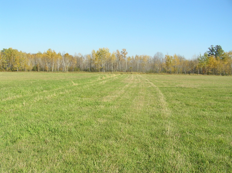 View to the east from the confluence.